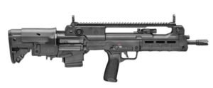 Hellion 5.56 NATO 16" Blk 2/10rd GEARUP