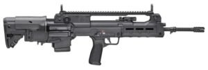 Hellion 5.56 NATO 20" Blk 2/10rd GEARUP