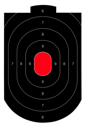 Birchwood Casey 35609 Dirty Bird Oval Paper Target 12" x 18" 50 Per Pkg