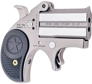 Bond Arms BASTB Stubby  22 LR 2rd Shot 2.20" Matte Stainless Steel Frame Black Textured Polymer Grips