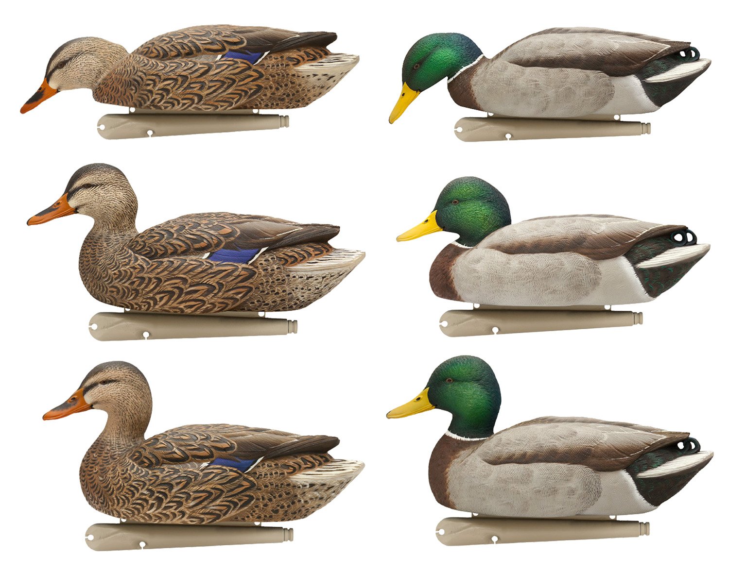 Avian X AVXAVX8076 Topflight Fusion Mallards Multi-Color -6 Pack