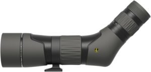 Leupold 185683 SX-2 Alpine HD Angled Body 20-60x 60mm Black