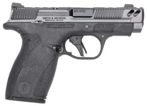 S&W BODYGRD 2.0 PC 14416 380 3.1 10/12R    GRY/BLK
