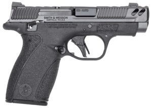 S&W BODYGRD 2.0 PC 14417 380 3.1 10/12R GRY/BLK TS