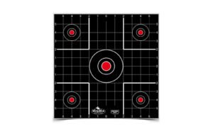 B/C DIRTY BIRD SIGHT IN TGT 12-12"