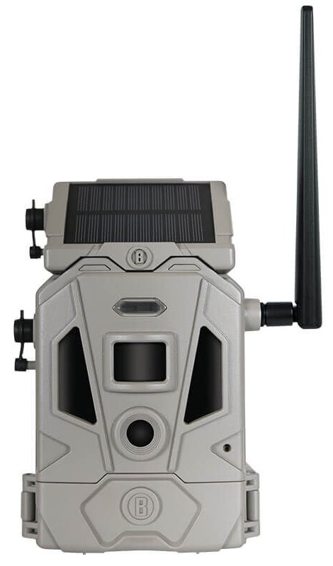 BUS CELLUCORE 20 SOLAR DUAL SIM TAN