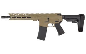 DBF DB15 556 10" MLOK 30RD FDE BRACE