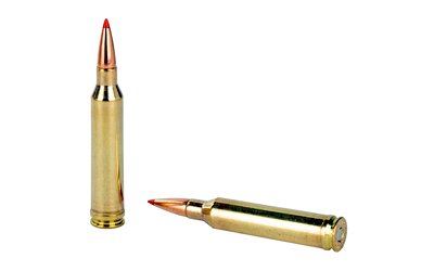 HRNDY SF 7MM MAG 154GR SST 20/200 - Image 4