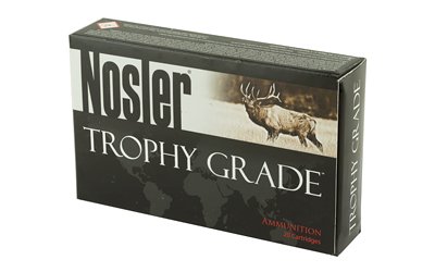 NOSLER 30NOS 180GR AB 20/200 - Image 3