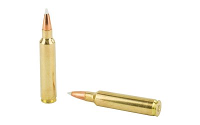 NOSLER 30NOS 180GR AB 20/200 - Image 4