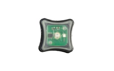 UNITY SPARK LIGHT GREEN