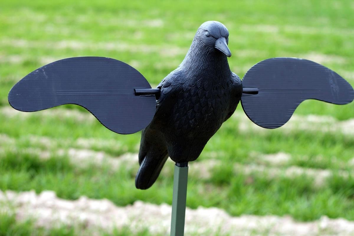 MOJO Motion Decoy Crow Decoy
