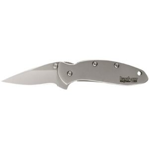 Kershaw Ken Onion Chive Folding Knife 1-9/10" Drop Point Blade Silver