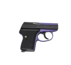 Seecamp LWS-380 Handgun 380 Auto 6rd Magazine 2" Barrel DAO Bright Purple Frame Black Grip