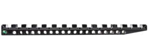 Tapco TAP22044  Scope Base Black Ruger 10/22 20 MOA