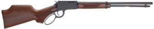 HENRY H1 BANDIT 22LR 18.5