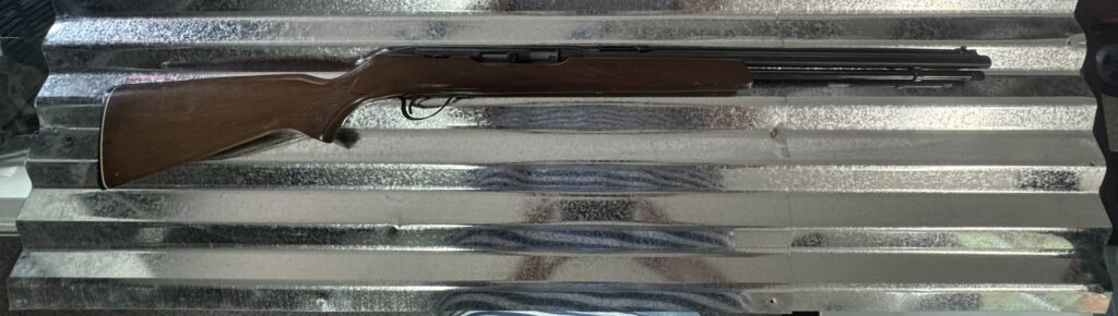 Savage Arms Hiawatha Model 587