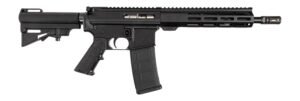 Dpms Panther Arms DP51655231683 DP-15 Shortacle 300 AAC Blackout 30+1 10.50" Black Nitride Threaded Barrel, Black Hardcoat Anodize Aluminum Receiver w/Picatinny Rail. M-LOK Handguard, Black Polymer Ad